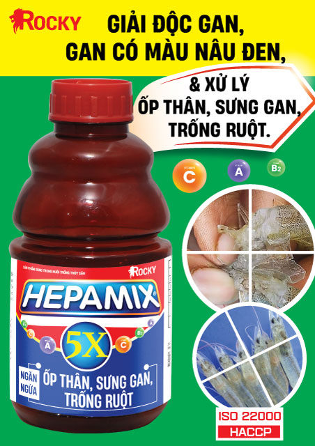 Xổ số Mega 6／45 hôm nay có giải đặc biệt không